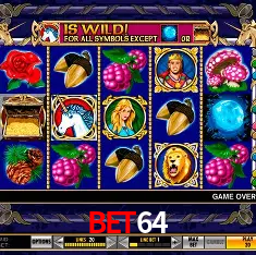 bet64 Rio de Janeiro - Bonus Terms